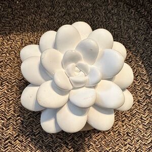 White Succulent Home Accent Decor
